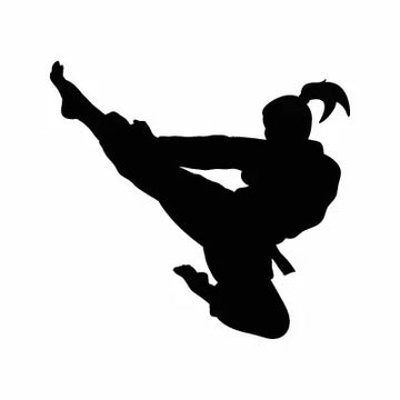 Karate Girl Sport Sign Sticker Decal