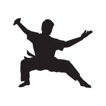 Karate Boy Sport Sign Sticker Decal