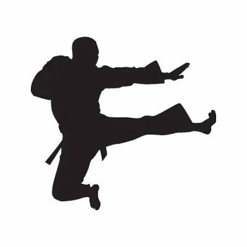 Karate Boy Sport Sign Sticker Decal