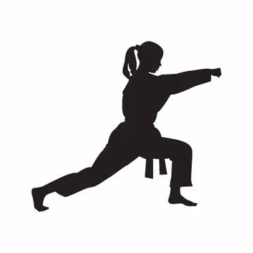 Karate Girl Sport Sign Sticker Decal