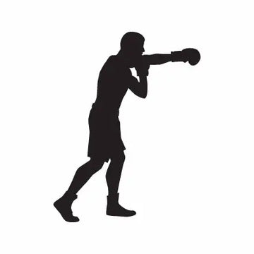 Boxing sport Sign Sticker Decal
